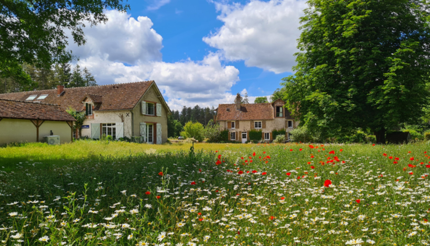 Pour visiter les châteaux de la Loire, profitez de l’emplacement du Moulin de Crouy !